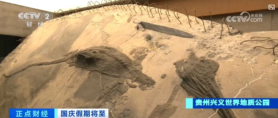 
首都医科院整形外科医院黄牛代挂号电话票贩子号贩子网上预约挂号,住院检查加快,新产品、新业态、新线路 释放国庆文旅消费“新”增长