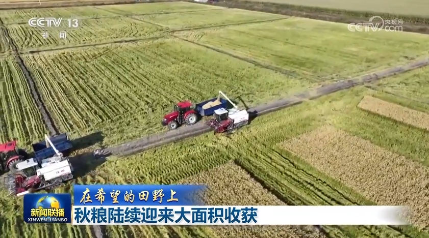 
长春吉大一院黄牛代挂号电话票贩子号贩子网上预约挂号,住院检查加快,【在希望的田野上】秋粮陆续迎来大面积收获