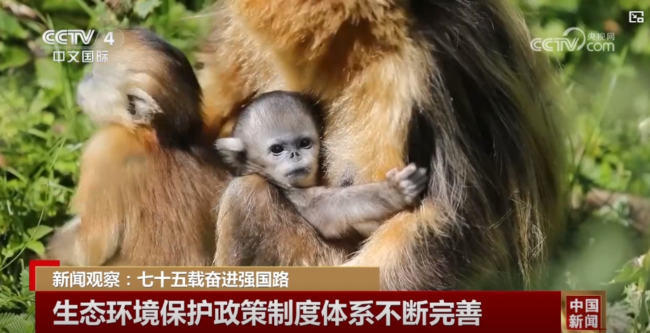 
中山二院黄牛代挂号电话票贩子号贩子网上预约挂号,住院检查加快,生态文明之路越走越笃定、越走越宽广 祖国生态安全屏障不断筑牢