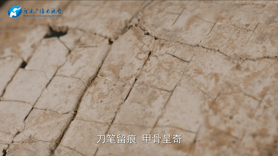 广州各大医院黄牛代挂号电话票贩子号贩子网上预约挂号,住院检查加快,清澈的爱 只为中国 |字焕新生