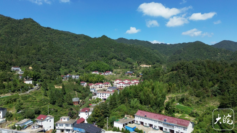 沈阳医大一院黄牛代挂号电话票贩子号贩子网上预约挂号,住院检查加快,千里跃进大别山|数字化赋能,乡村治理更高效