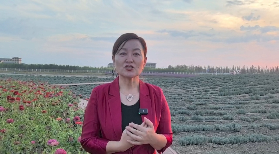 
杭州市第一人民医院黄牛代挂号电话票贩子号贩子网上预约挂号,住院检查加快,铸牢共同体 中华一家亲|哈靖：“我家里有五个民族，我最自豪我是中华民族的一份子”