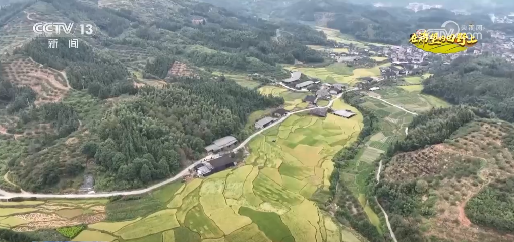 
上海儿科医院黄牛代挂号电话票贩子号贩子网上预约挂号,住院检查加快,“新技术+新品种”助力增产增收 在希望的田野上描绘如画“丰”景