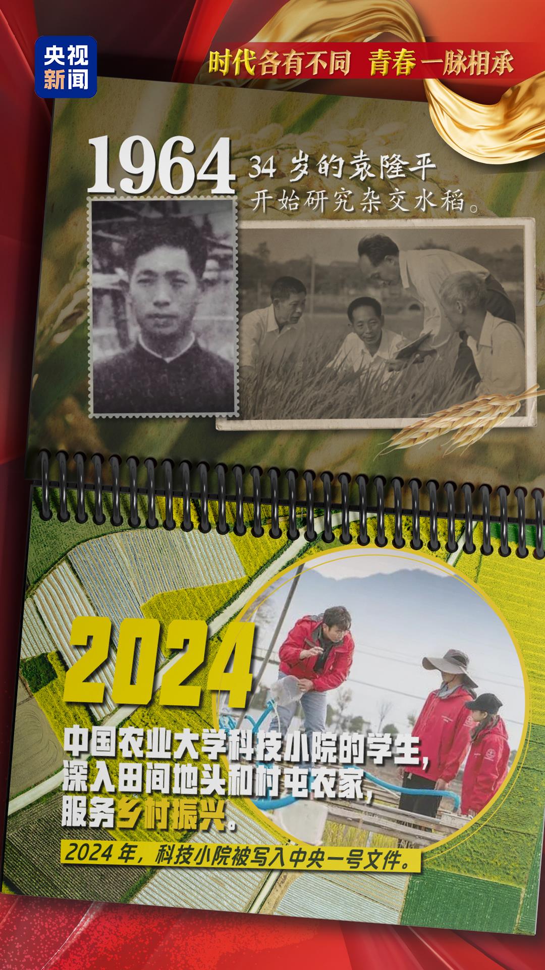 
杭州市第一人民医院黄牛代挂号电话票贩子号贩子网上预约挂号,住院检查加快,青春华章 中国向上丨时代各有不同 青春一脉相承