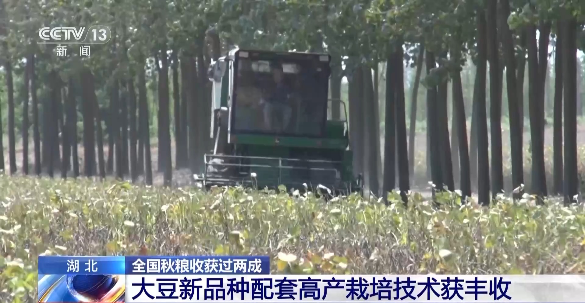 
中山大学附属第一医院黄牛代挂号电话票贩子号贩子网上预约挂号,住院检查加快,全国秋粮有望再获丰收 来看秋收画卷背后的新科技→