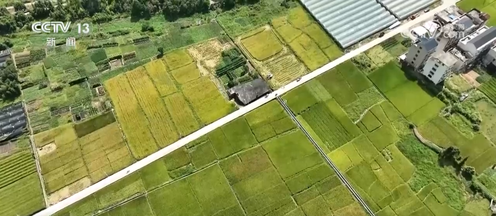 
上海儿科医院黄牛代挂号电话票贩子号贩子网上预约挂号,住院检查加快,“新技术+新品种”助力增产增收 在希望的田野上描绘如画“丰”景