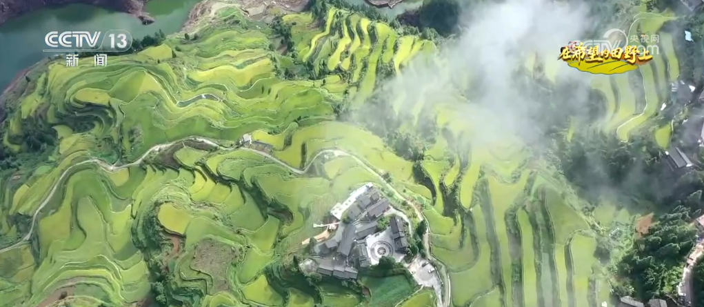 
上海儿科医院黄牛代挂号电话票贩子号贩子网上预约挂号,住院检查加快,“新技术+新品种”助力增产增收 在希望的田野上描绘如画“丰”景