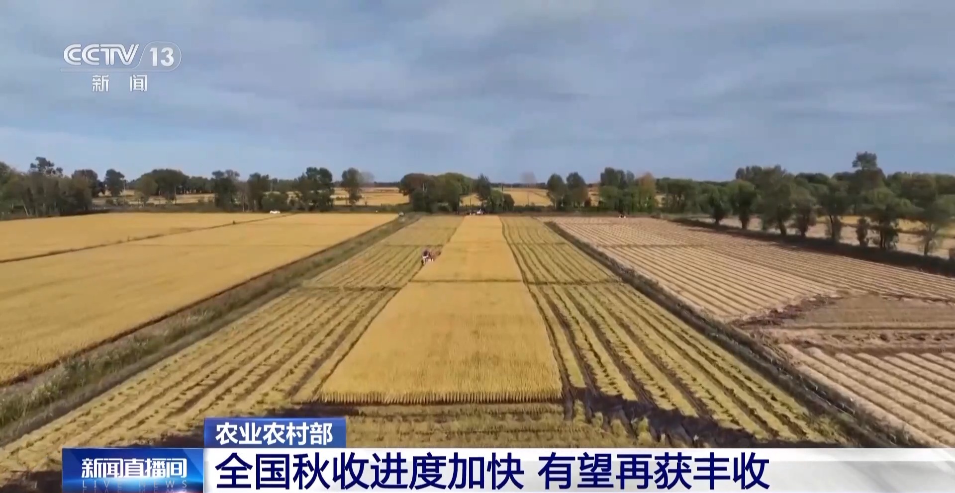 
中山大学附属第一医院黄牛代挂号电话票贩子号贩子网上预约挂号,住院检查加快,全国秋粮有望再获丰收 来看秋收画卷背后的新科技→
