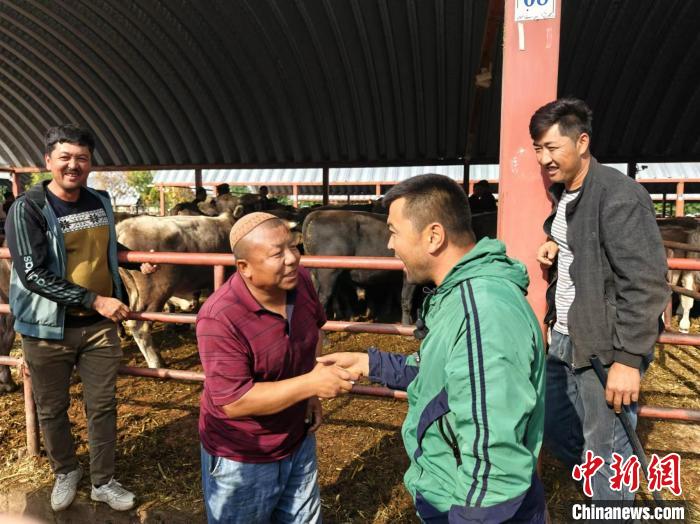 
北京人民医院黄牛代挂号电话票贩子号贩子网上预约挂号,住院检查加快,（铸牢共同体 中华一家亲）新疆这个百年巴扎，为何成了“超级牛市”？