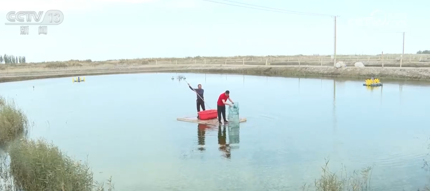 
中国中医科学院眼科医院黄牛代挂号电话票贩子号贩子网上预约挂号,住院检查加快,神奇！新疆塔克拉玛干沙漠盐碱水域成功养殖青蟹