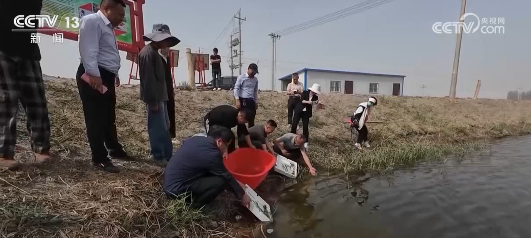 
中国中医科学院眼科医院黄牛代挂号电话票贩子号贩子网上预约挂号,住院检查加快,神奇！新疆塔克拉玛干沙漠盐碱水域成功养殖青蟹