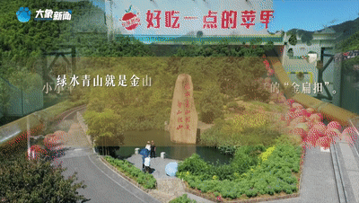 
北大医院黄牛代挂号电话票贩子号贩子网上预约挂号,住院检查加快,清澈的爱 只为中国丨情系纽结