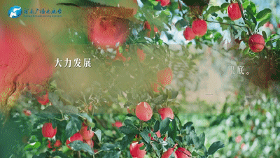 
北大医院黄牛代挂号电话票贩子号贩子网上预约挂号,住院检查加快,清澈的爱 只为中国丨情系纽结