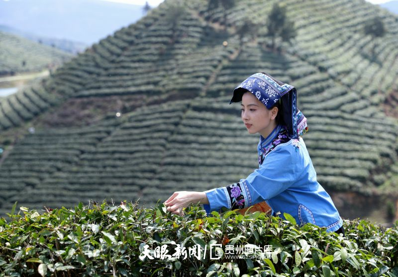 
浙江大学邵逸夫医院黄牛代挂号电话票贩子号贩子网上预约挂号,住院检查加快,贵州山居｜这是贵州125.8万座群山之约！
