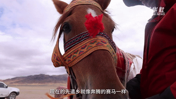
上海肺科医院黄牛代挂号电话票贩子号贩子网上预约挂号,住院检查加快,秀我中国｜进藏先遣连“银元”的故事