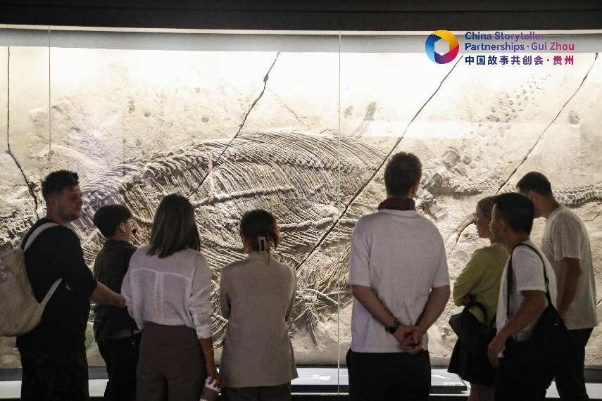 
北京肿瘤医院黄牛代挂号电话票贩子号贩子网上预约挂号,住院检查加快,“龙跃黔海 一眼亿年” 外籍自媒体人被亿万年前的贵州“硬控”了