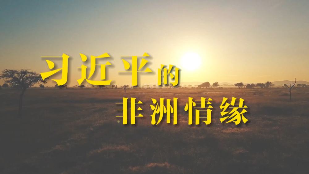 
西安市儿童医院黄牛代挂号电话票贩子号贩子网上预约挂号,住院检查加快,重磅微视频｜习近平的非洲情缘