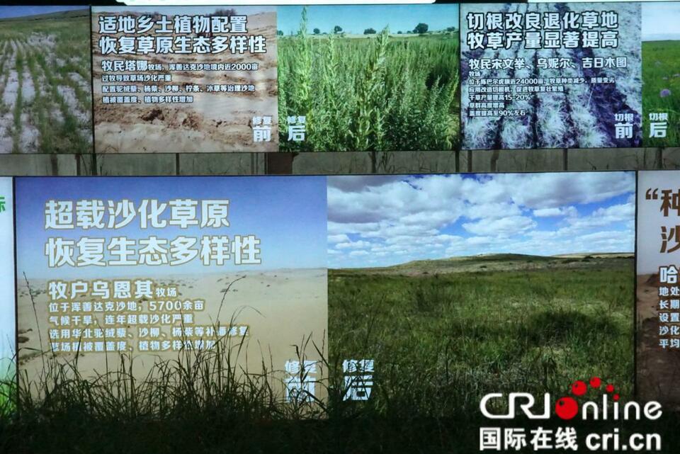 
南京明基医院黄牛代挂号电话票贩子号贩子网上预约挂号,住院检查加快,【石榴花开·籽籽同心】多元并举加速赋能内蒙古高质量发展