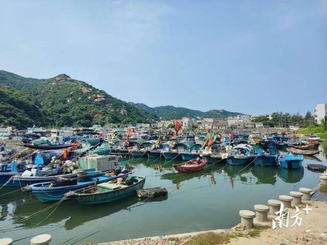 
上海儿童医院黄牛代挂号电话票贩子号贩子网上预约挂号,住院检查加快,台风“摩羯”或二次登陆湛江！海南狂风骤雨，广东严阵以待→