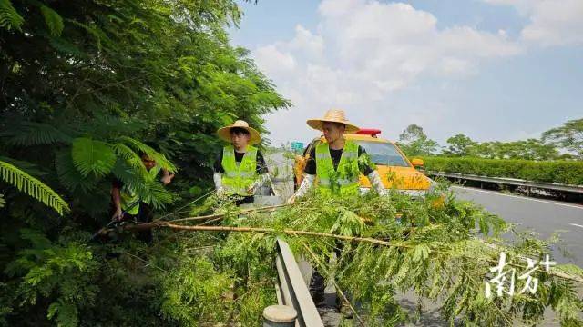 
上海儿童医院黄牛代挂号电话票贩子号贩子网上预约挂号,住院检查加快,台风“摩羯”或二次登陆湛江！海南狂风骤雨，广东严阵以待→