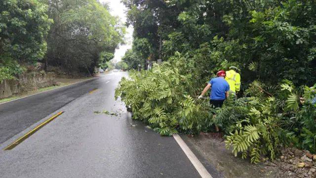 
上海儿童医院黄牛代挂号电话票贩子号贩子网上预约挂号,住院检查加快,台风“摩羯”或二次登陆湛江！海南狂风骤雨，广东严阵以待→