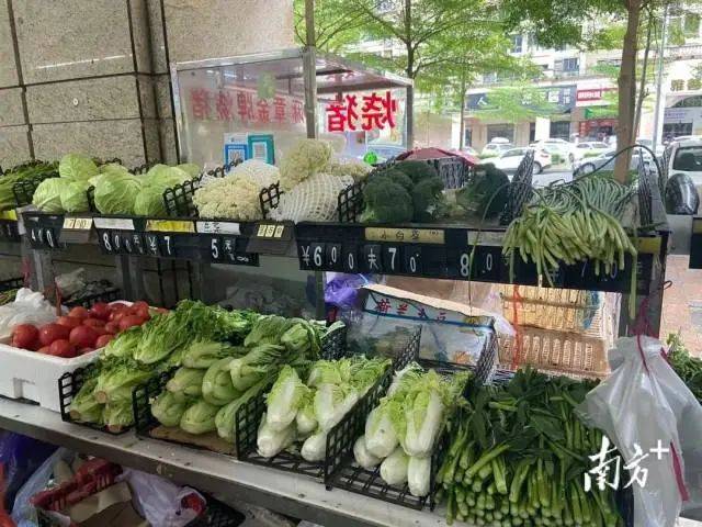 
上海儿童医院黄牛代挂号电话票贩子号贩子网上预约挂号,住院检查加快,台风“摩羯”或二次登陆湛江！海南狂风骤雨，广东严阵以待→