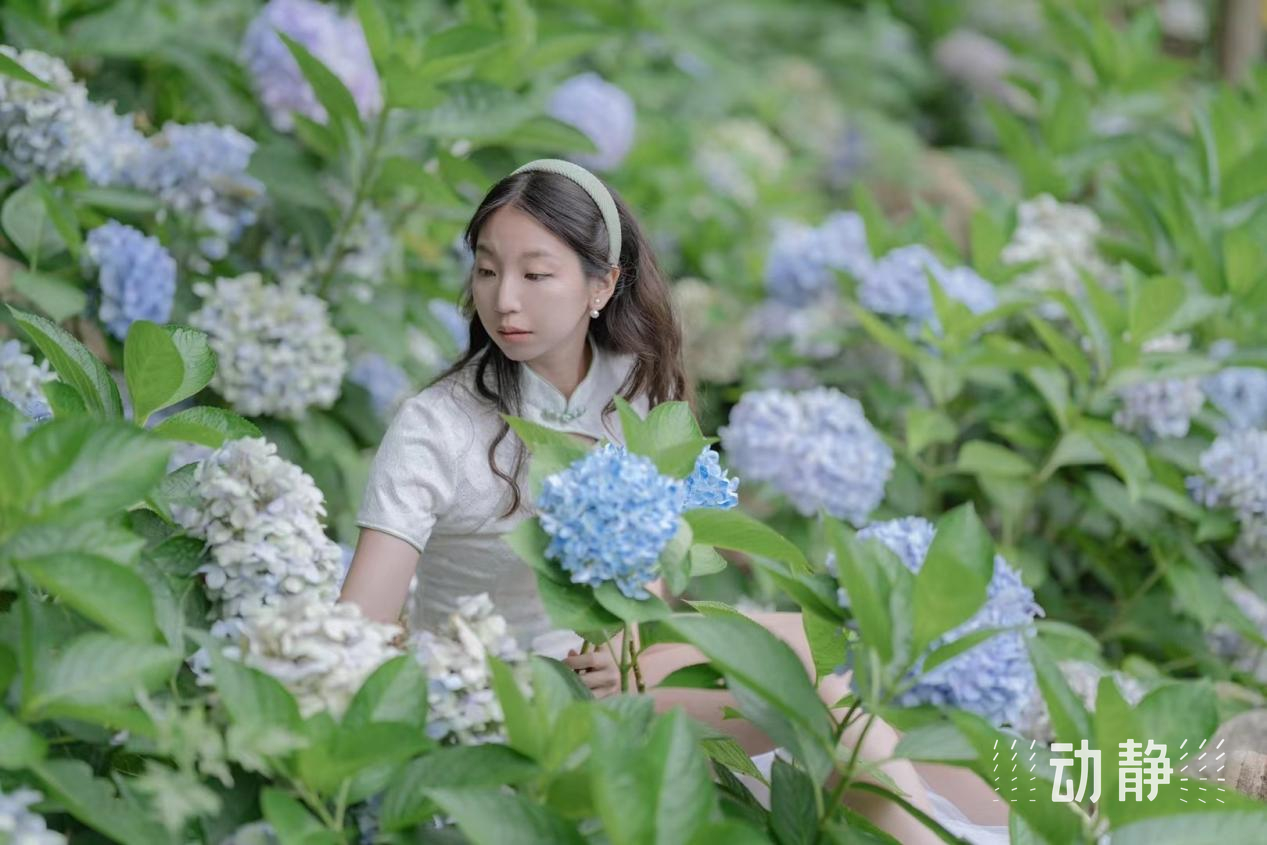 
广州中医院黄牛代挂号电话票贩子号贩子网上预约挂号,住院检查加快,同处北纬25度，黔台交融“一家亲”