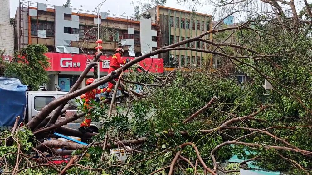 
上海各大医院黄牛代挂号电话票贩子号贩子网上预约挂号,住院检查加快,广东徐闻：灾后恢复工作加紧开展