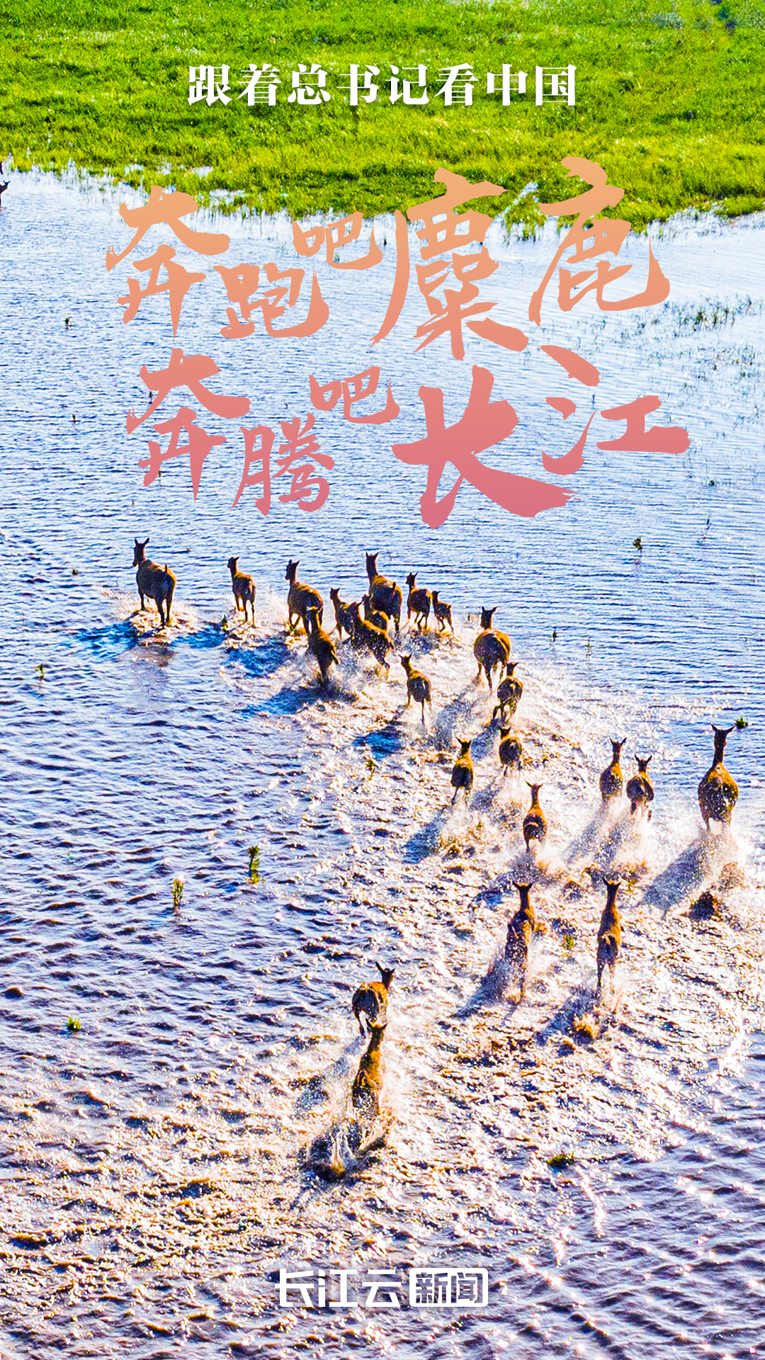 
广州儿童医院黄牛代挂号电话票贩子号贩子网上预约挂号,住院检查加快,跟着总书记看中国｜奔跑吧麋鹿，奔腾吧长江！