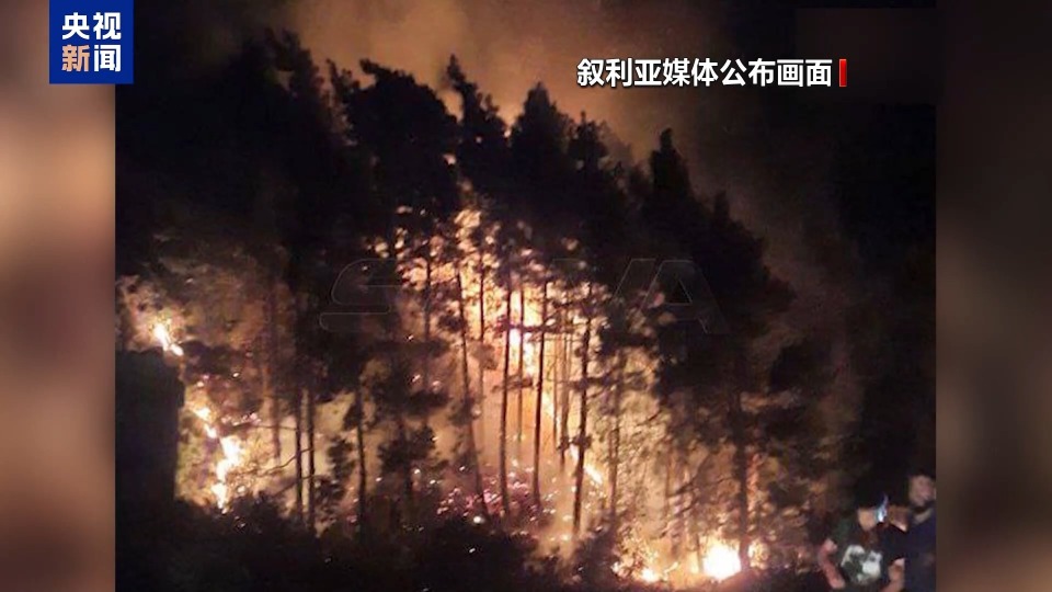 
南方医科大学中西医结合医院黄牛号贩子票贩子代网上预约代挂号电话叙利亚中部多处军事地点遭袭 已致16死36伤
