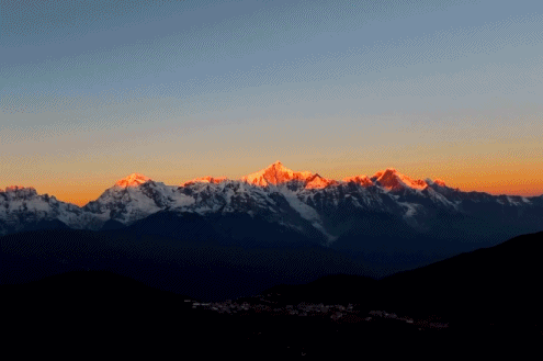 上海龙华医院黄牛代挂号电话票贩子号贩子网上预约挂号,住院检查加快,2025,这些第一开启新的一年!