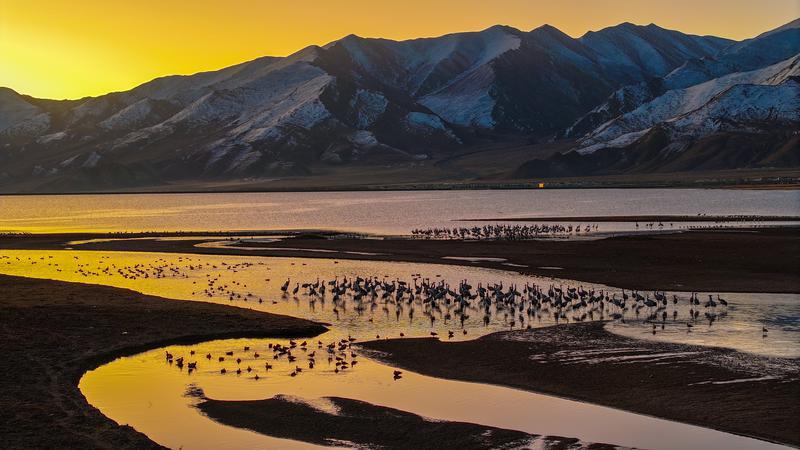 
长春吉大一院黄牛代挂号电话票贩子号贩子网上预约挂号,住院检查加快,看！藏在2024年照片里的宝“藏”