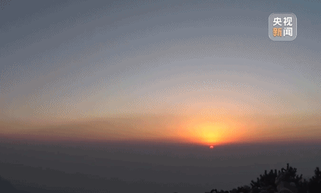 上海龙华医院黄牛代挂号电话票贩子号贩子网上预约挂号,住院检查加快,2025,这些第一开启新的一年!