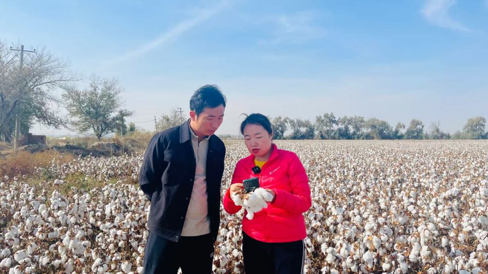 
北京广安门中医院黄牛代挂号电话票贩子号贩子网上预约挂号,住院检查加快,新疆精细化气象服务助力棉花增收