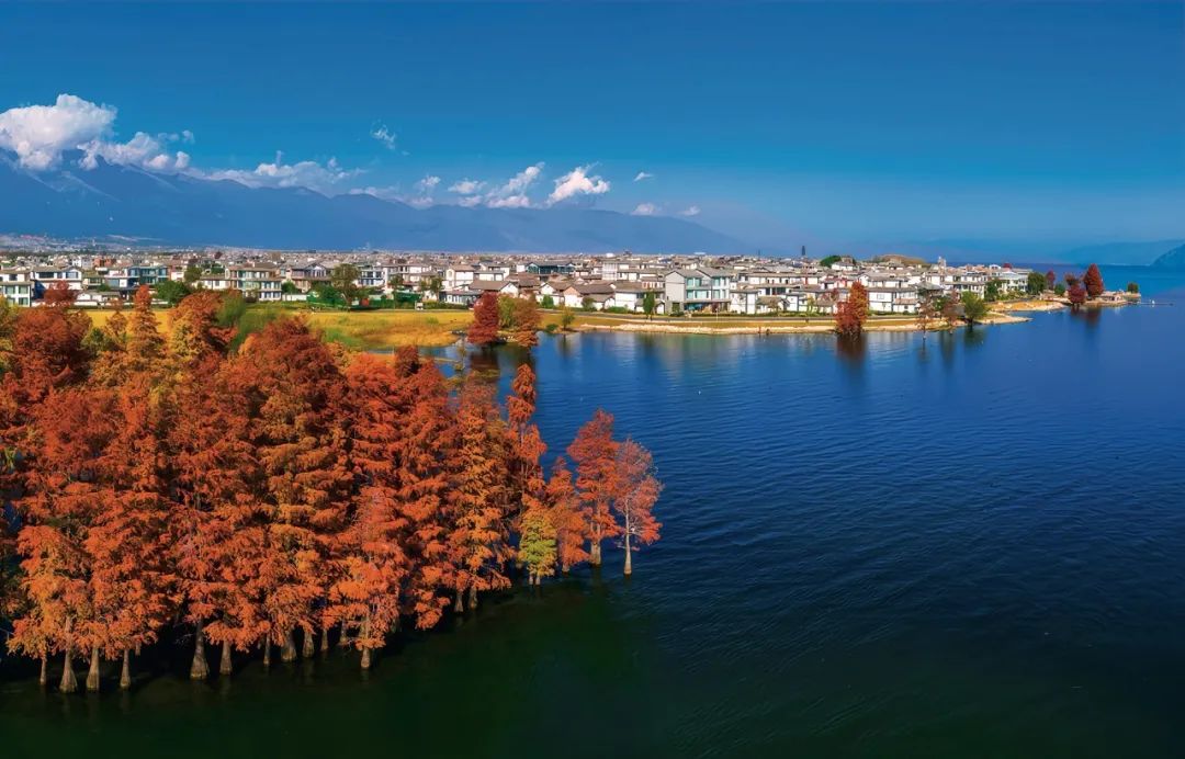 
广州口腔医院黄牛代挂号电话票贩子号贩子网上预约挂号,住院检查加快,习近平与美丽中国建设丨“一定要把洱海保护好”——云南省大理州干部群众访谈录