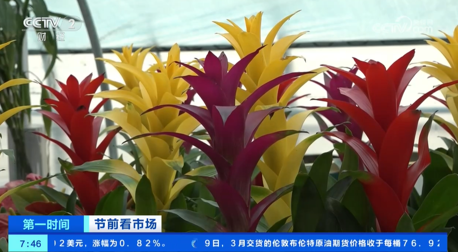 
首都医科大学附属北京同仁医院黄牛代挂号电话票贩子号贩子网上预约挂号,住院检查加快,年货市场人气旺 缤纷好物迎新春