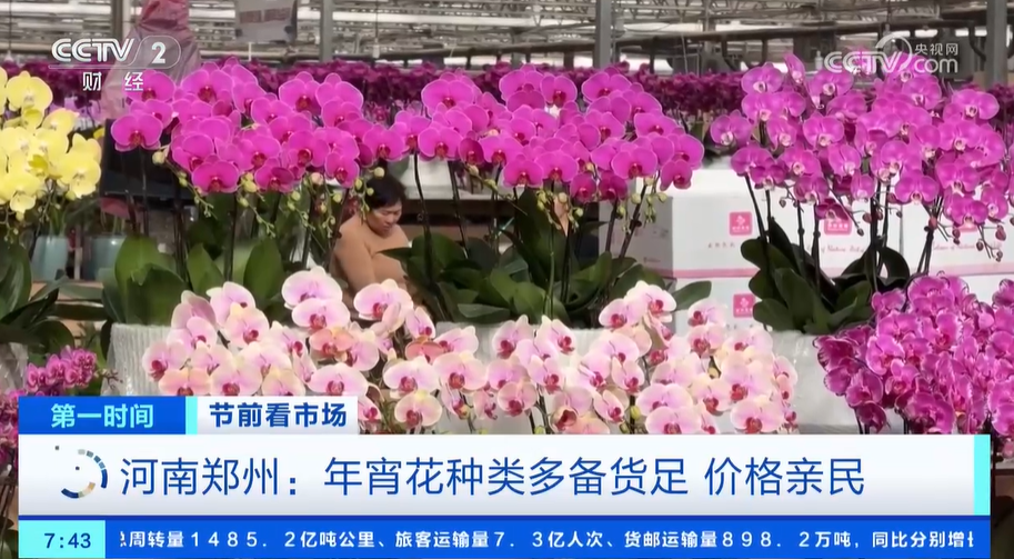 
首都医科大学附属北京同仁医院黄牛代挂号电话票贩子号贩子网上预约挂号,住院检查加快,年货市场人气旺 缤纷好物迎新春