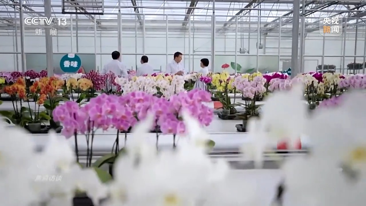 
北京人民医院黄牛代挂号电话票贩子号贩子网上预约挂号,住院检查加快,焦点访谈丨扩大开放再发力！2025让世界共享中国新机遇