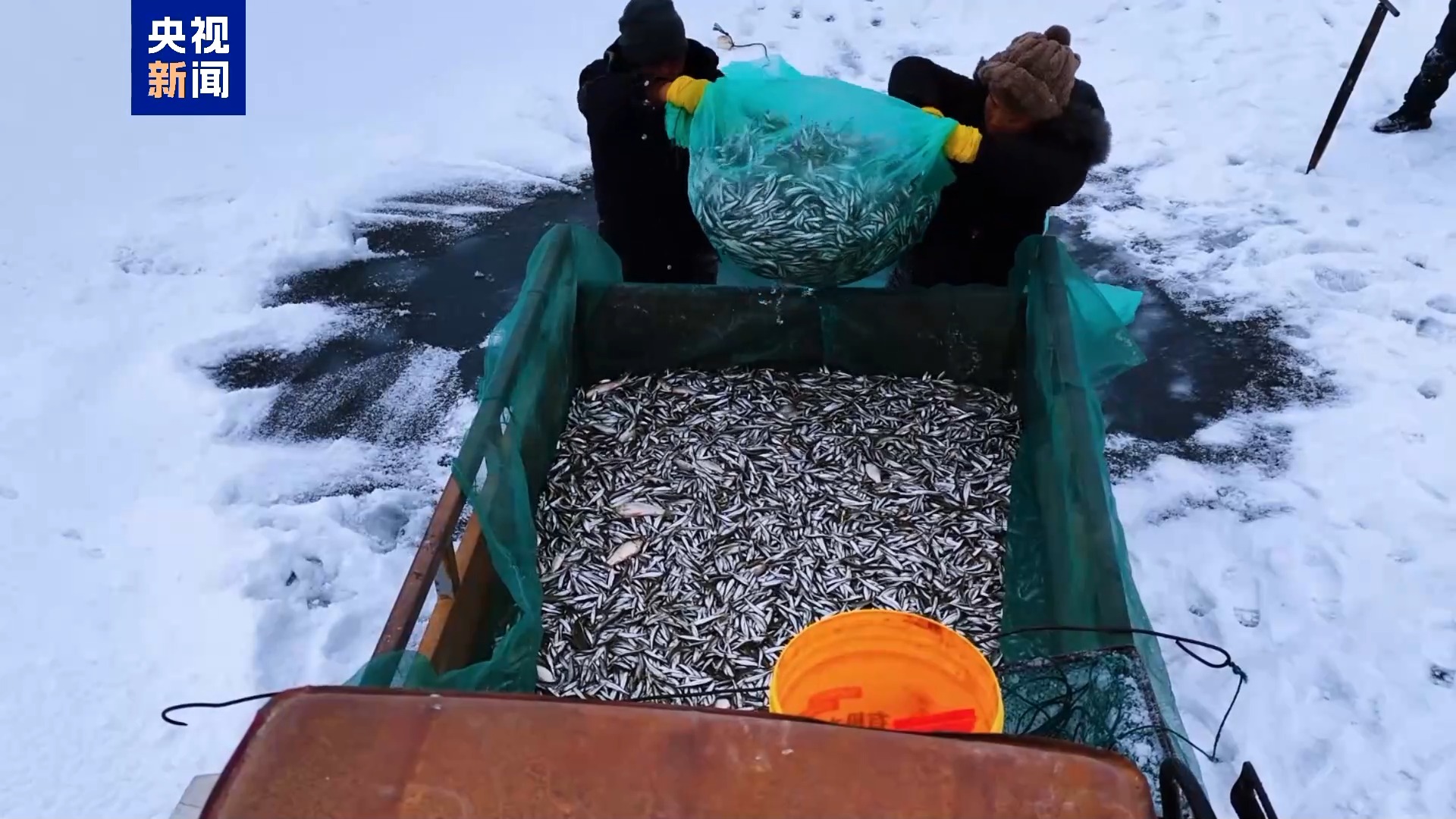 
西安西京医院黄牛代挂号电话票贩子号贩子网上预约挂号,住院检查加快,来新疆博斯腾湖 一起解锁池沼公鱼冰湖捕捞