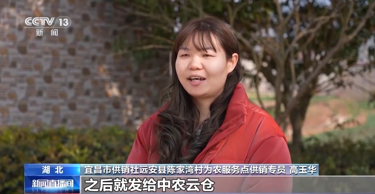 
中山大学附属第三医院黄牛代挂号电话票贩子号贩子网上预约挂号,住院检查加快,“春肥冬储”跑出加速度 粮食的“粮食”生产忙