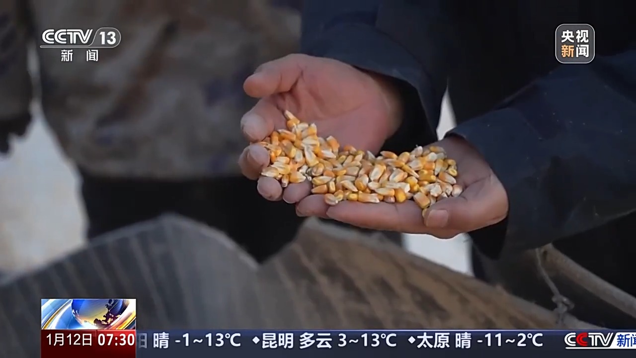 
北京协和医院黄牛代挂号电话票贩子号贩子网上预约挂号,住院检查加快,一线调研丨秋粮收购进入高峰期，如何保证农民卖得安心？