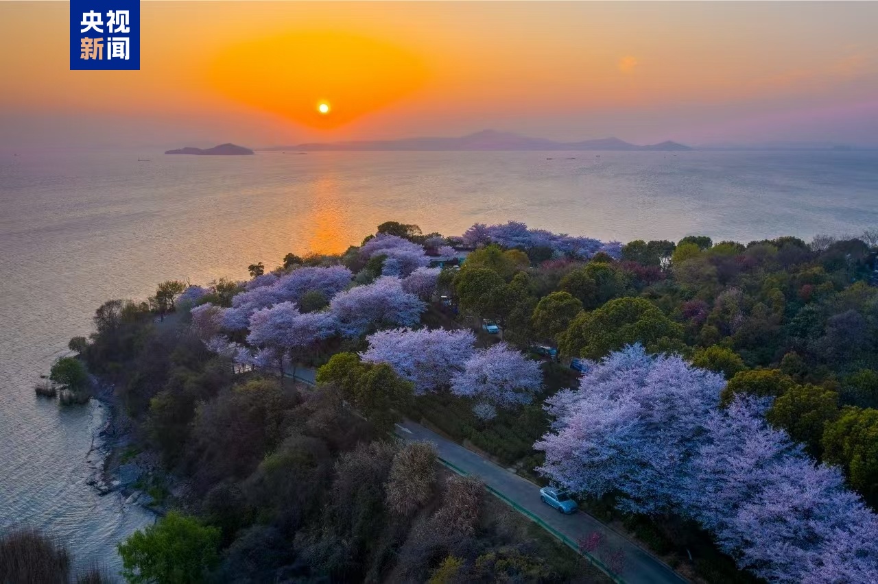 
上海龙华医院黄牛代挂号电话票贩子号贩子网上预约挂号,住院检查加快,新突破 太湖湖体平均水质首次达Ⅲ类