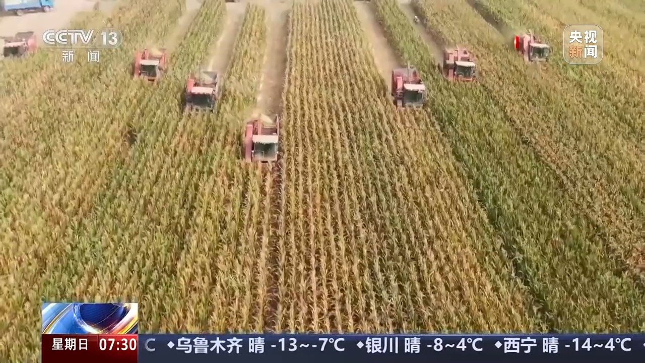 
北京协和医院黄牛代挂号电话票贩子号贩子网上预约挂号,住院检查加快,一线调研丨秋粮收购进入高峰期，如何保证农民卖得安心？