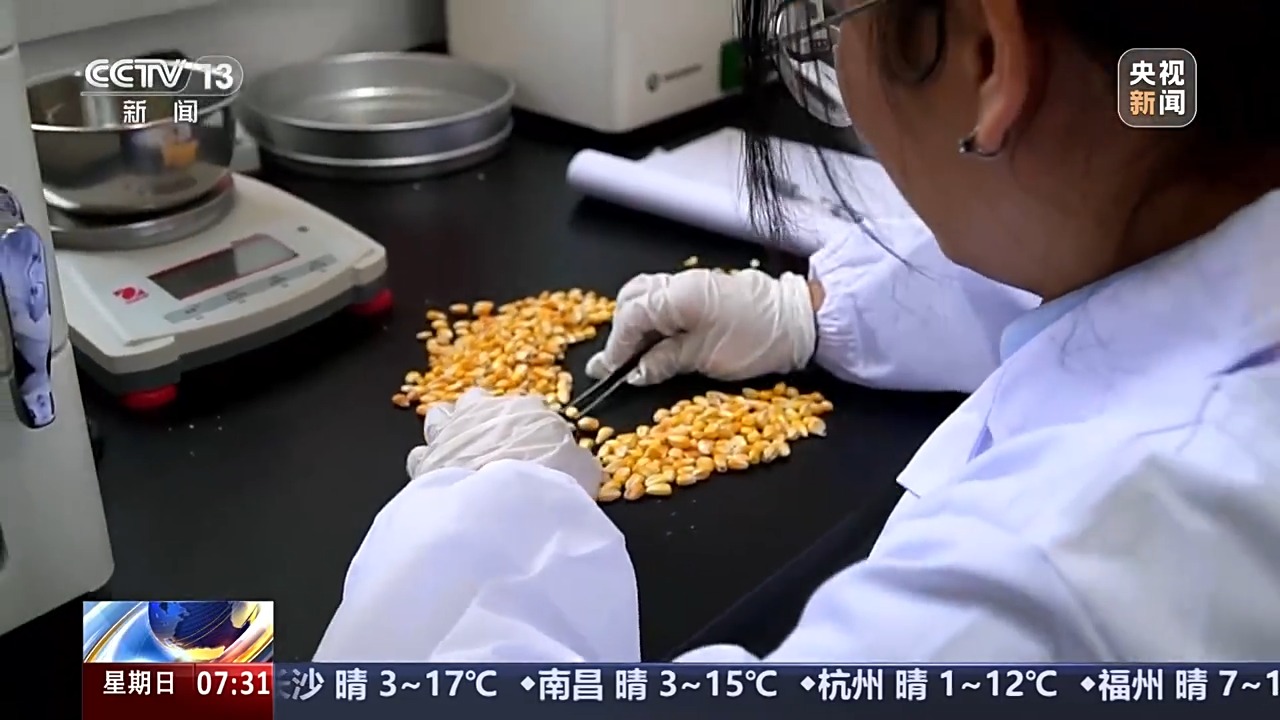 
北京协和医院黄牛代挂号电话票贩子号贩子网上预约挂号,住院检查加快,一线调研丨秋粮收购进入高峰期，如何保证农民卖得安心？