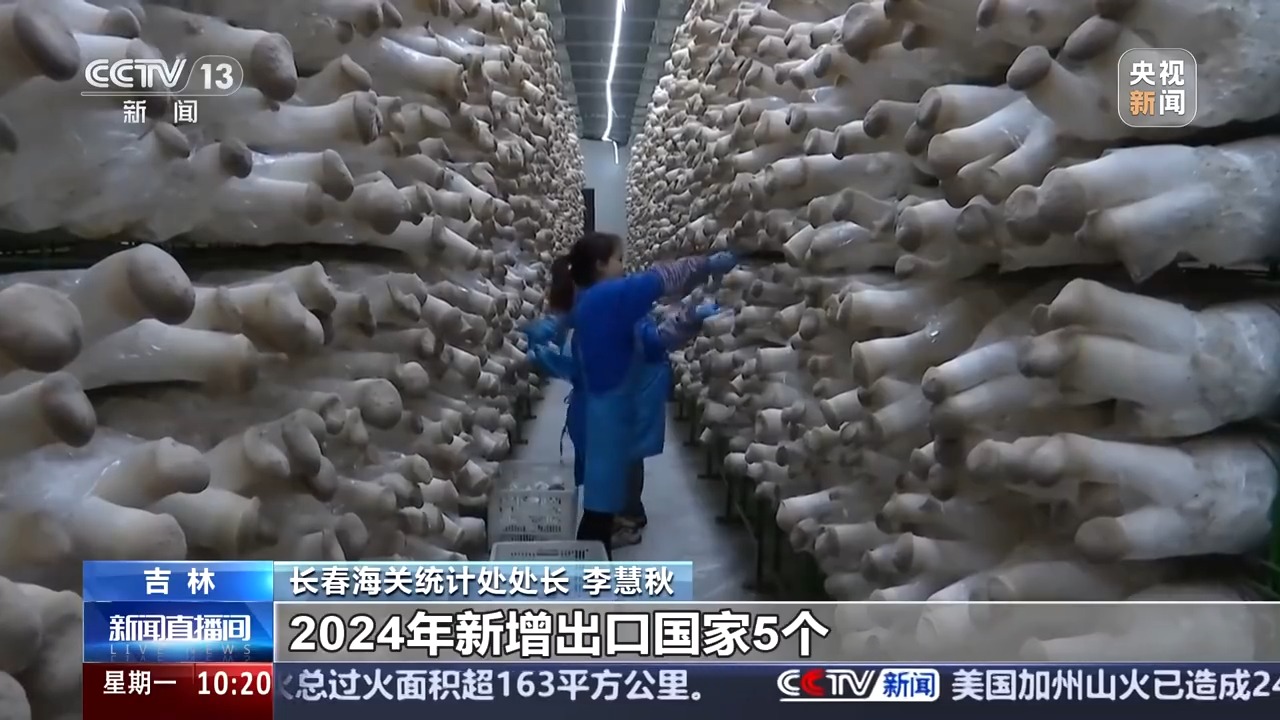 
上海肿瘤医院黄牛代挂号电话票贩子号贩子网上预约挂号,住院检查加快,连续八年第一！我国货物贸易进出口规模创历史新高