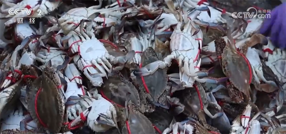 
南京各大医院黄牛代挂号电话票贩子号贩子网上预约挂号,住院检查加快,各地市场产销两旺腾起浓浓“烟火气” “年货经济”释放强大消费潜力