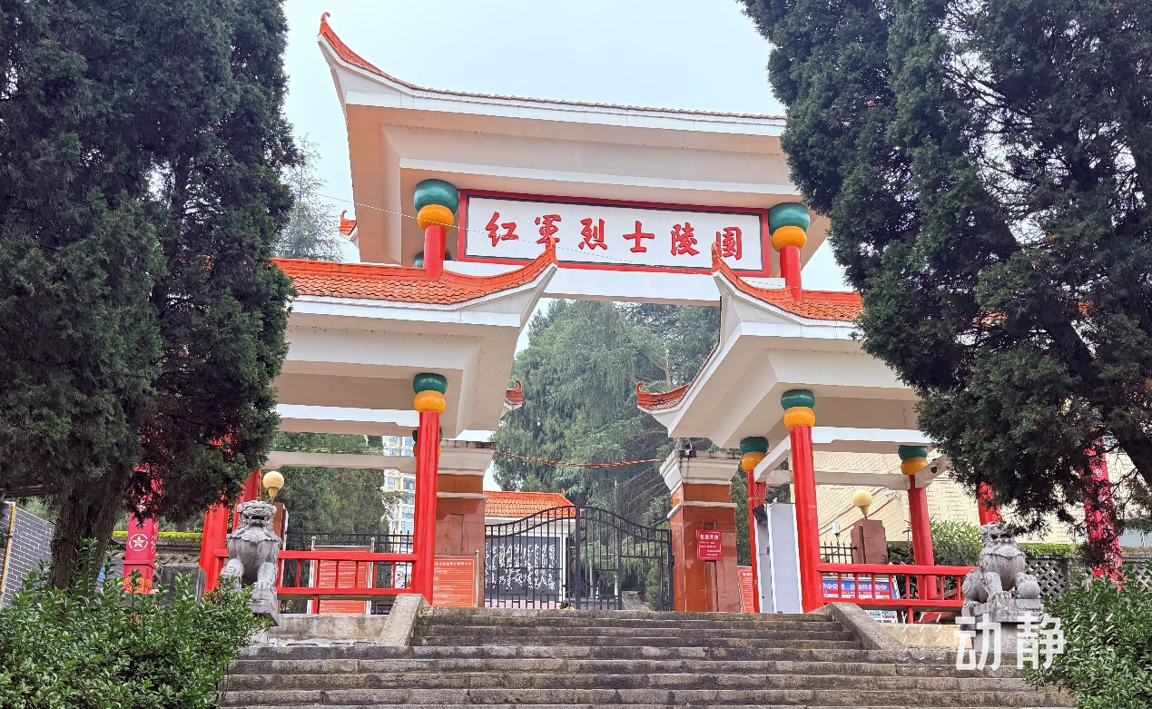 
沈阳医大二院黄牛代挂号电话票贩子号贩子网上预约挂号,住院检查加快,转折之地话转折