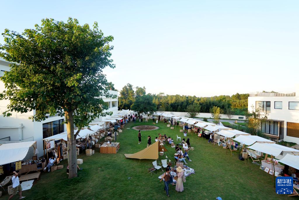 南京各大医院黄牛代挂号电话票贩子号贩子网上预约挂号,住院检查加快,中国经济样本观察·县域样本篇丨这个四川小城靠打造“诗意”村庄破圈