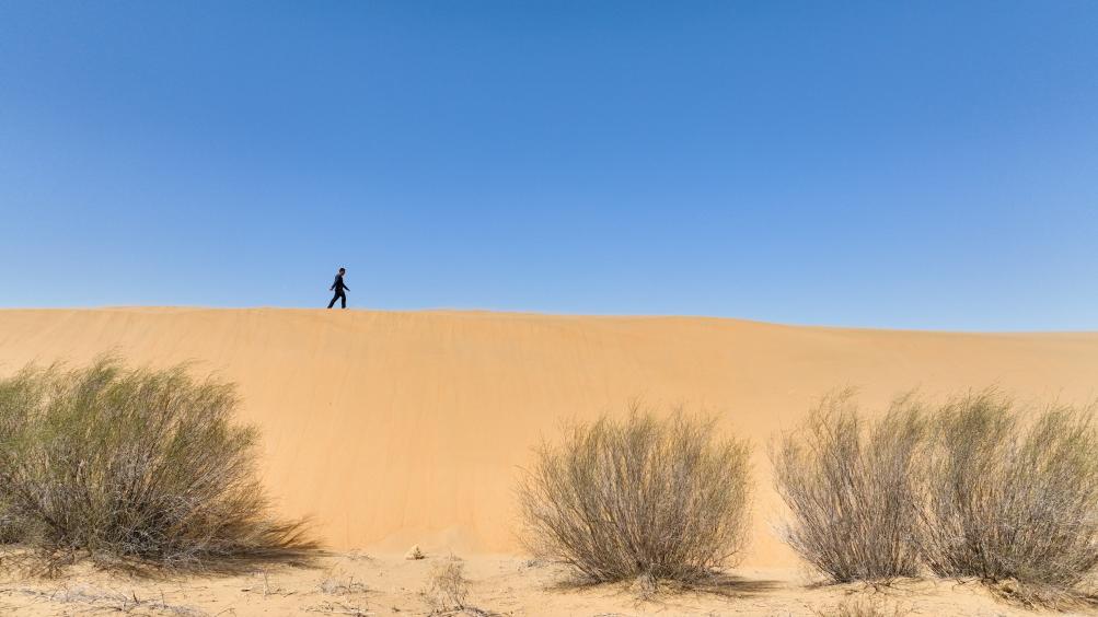 
上海胸科医院黄牛代挂号电话票贩子号贩子网上预约挂号,住院检查加快,解锁中国北部沙漠“绿进沙退”的密码