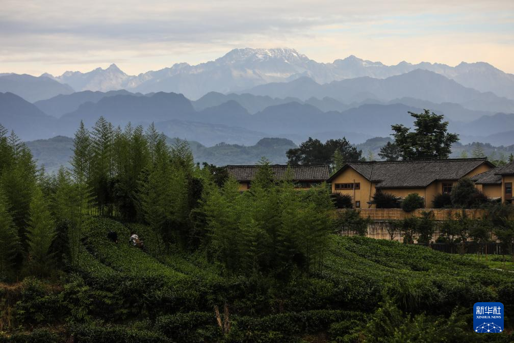 南京各大医院黄牛代挂号电话票贩子号贩子网上预约挂号,住院检查加快,中国经济样本观察·县域样本篇丨这个四川小城靠打造“诗意”村庄破圈